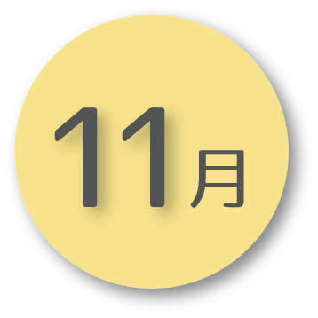 11月